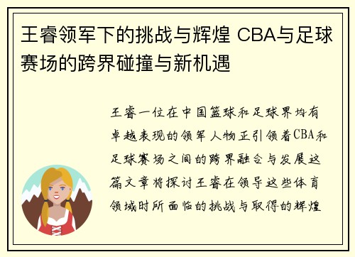 王睿领军下的挑战与辉煌 CBA与足球赛场的跨界碰撞与新机遇