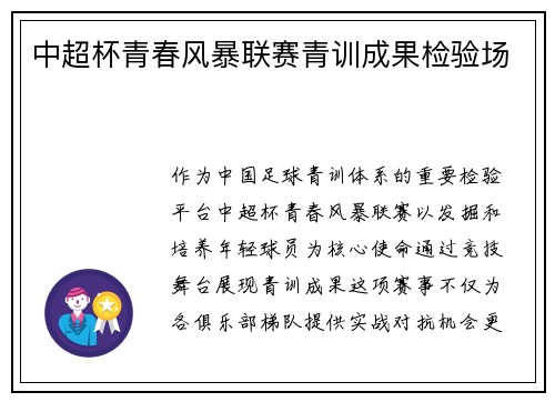 中超杯青春风暴联赛青训成果检验场